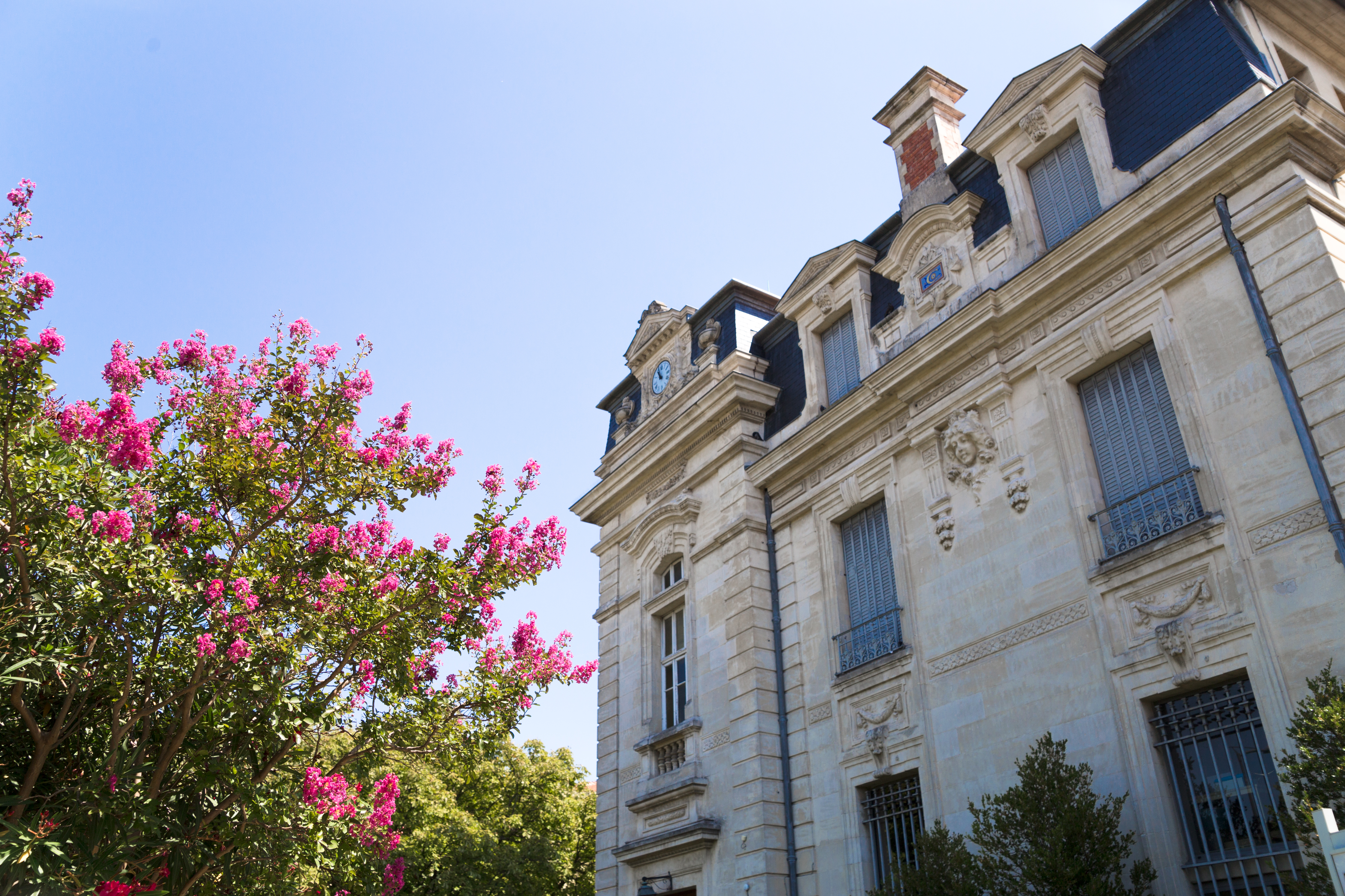 "Podcast n°6 : Le point sur le marché immobilier en IDF, en France et à l'étranger"